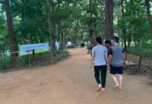 용인특례시, 올해 만골근린공원 등 14곳에 맨발길 조성