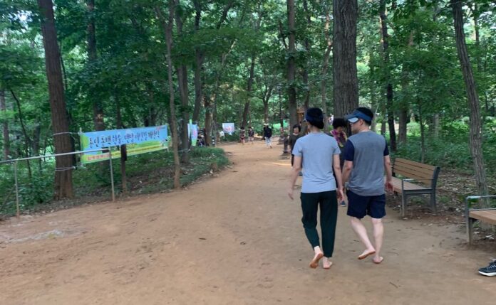 3-1. 용인특례시가 올해 14곳에 맨발길을 새로 조성한다. 사진은 기흥구 한숲근린공원 맨발길. (1)