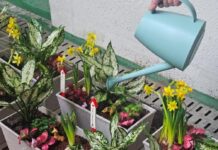 용인특례시, 경기도마약중독치료센터와 치유원예교육 진행