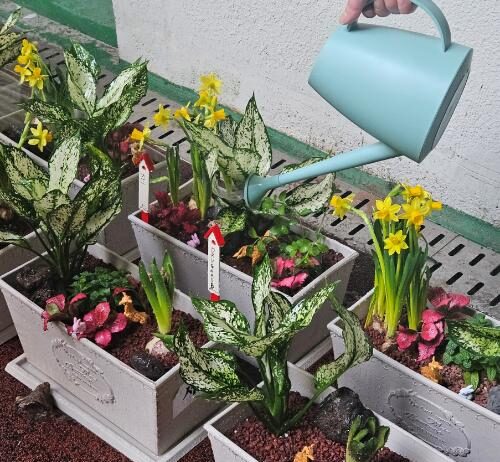 용인특례시, 경기도마약중독치료센터와 치유원예교육 진행